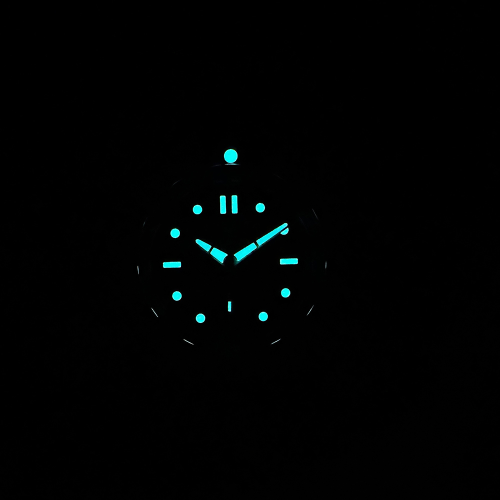 STEELDIVE 공식 신제품 SD1960 45mm 대 - Seiko Watch Prospex 리뷰 및 가격